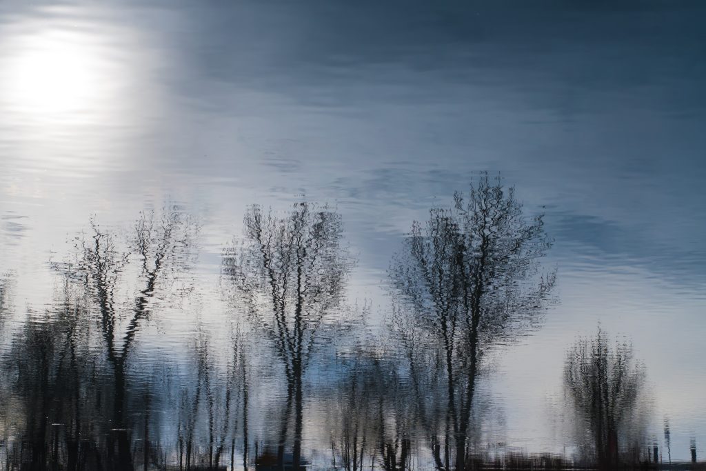 Reflections of trees in water in the winter in Boise, Idaho. Photos by Terry Welch.