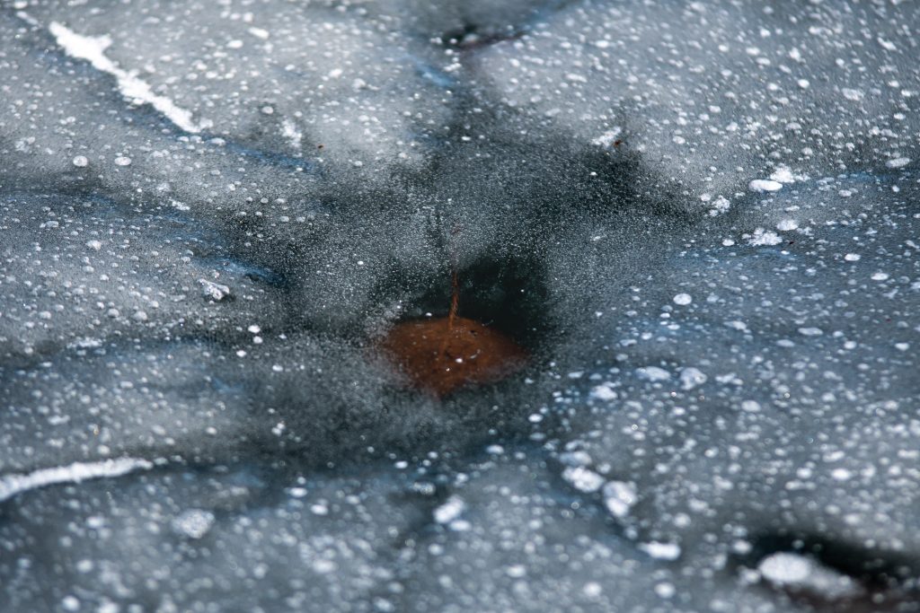 Pictures of leaves frozen in ice at a frozen pond near Whitewater Park in Boise, Idaho. Photos by Terry Welch.