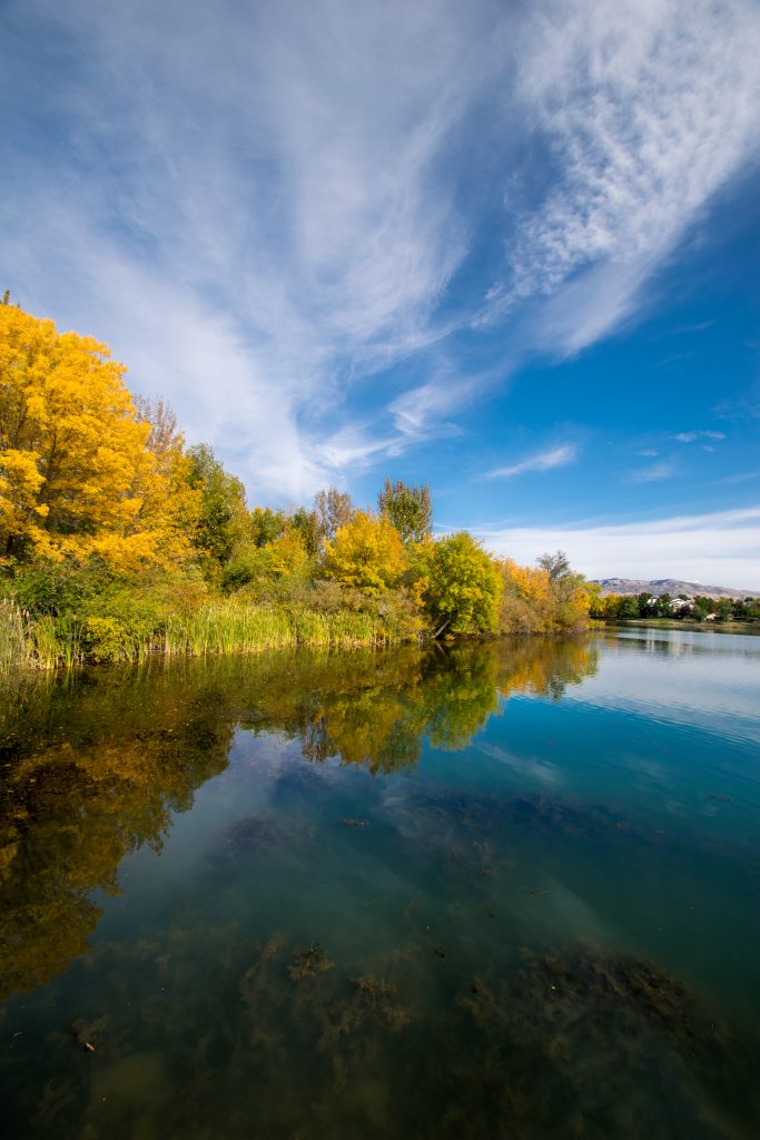 Picture of Katherin Albertson Park in Boise, Idaho. Photo by Terry Welch.